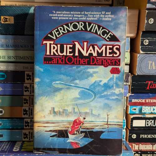 Cover of True Names ... and Other Dangers